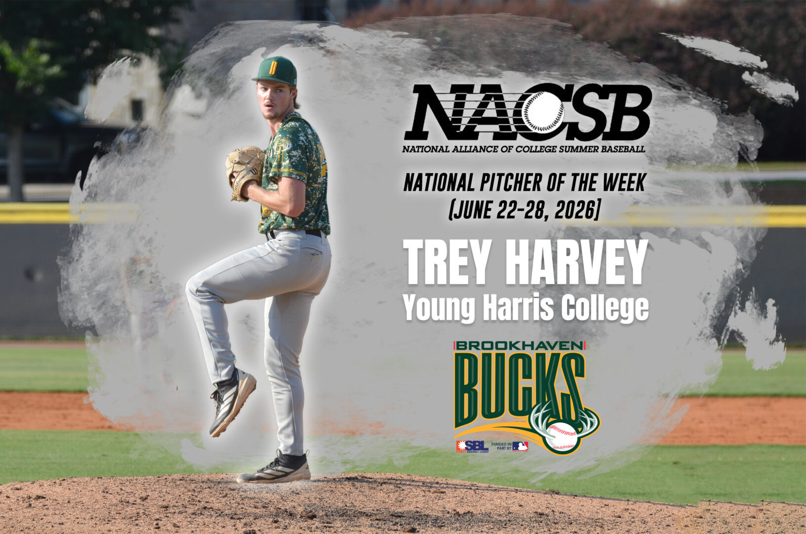 NACSB National Pitcher of the Week (June 22-28, 2026) Trey Harvey, Young Harris College